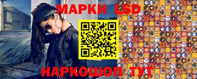 сатива Ставрополь