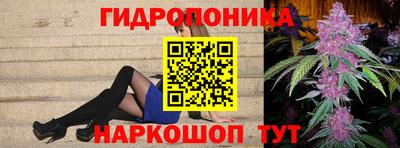 сатива Ставрополь