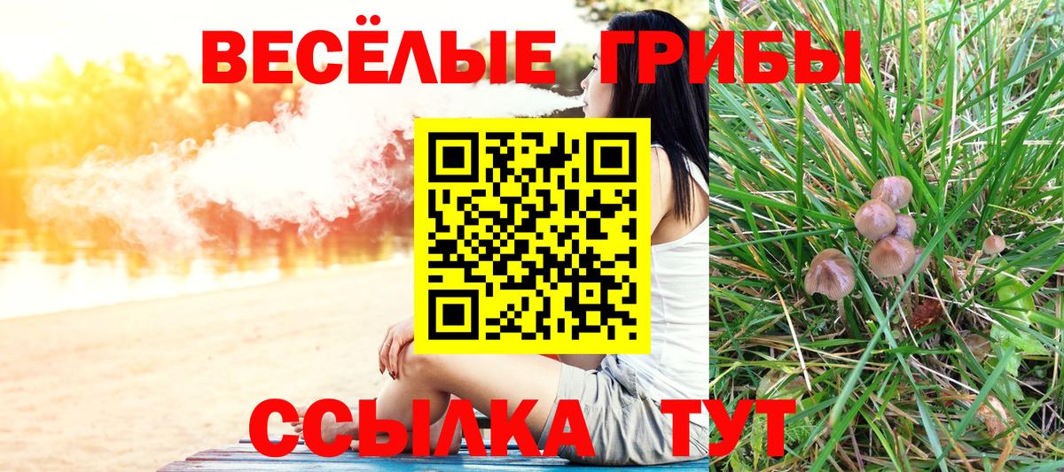 Псилоцибиновые грибы Psilocybe  Галлюциногенные грибы Psilocybe  Вход с VPN  Тайшет 